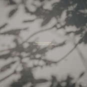 Those Who Dare Die Young