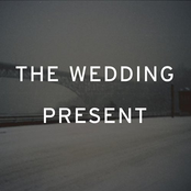 The Wedding Present: Take Fountain