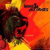 In Search For Bearings