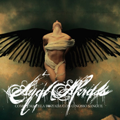 Como Uma Tela Pintada Com Nosso Sangue