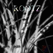 ROOTZ