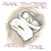 Midnight Bird by Clare Bowditch And The Feeding Set