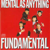 Stones Of The Heart by Mental As Anything