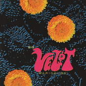 The Veldt: Marigolds