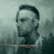 Andrew Ripp: Evergreen