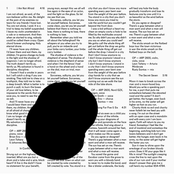 The Sky Behind The Flag by Owen Pallett