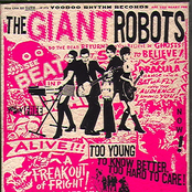 Echoes From Canyon by The Giant Robots
