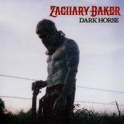 Dark Horse - Single