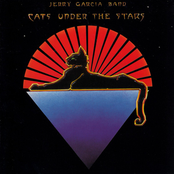Cats Under The Stars