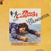 Como Yegua Brava by Los Chunguitos