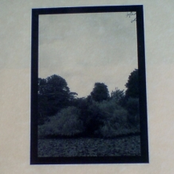 Birth to A Point it Comes