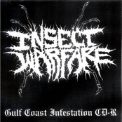 But Now You Die by Insect Warfare