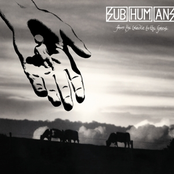 From The Cradle To The Grave by Subhumans