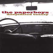 The Paperboys: Dilapidated Beauty