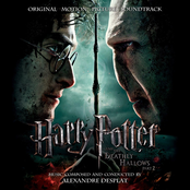 Harry's Sacrifice by Alexandre Desplat