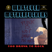 Too Drunk to Rock