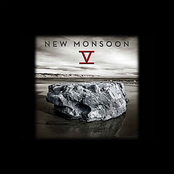 Water Vein by New Monsoon