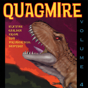 Quagmire Volume 4: Sixties Garage From The Primordial Depths!