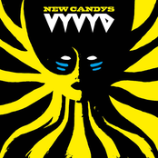 New Candys: Vyvyd