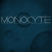 monocyte