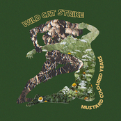 Mustard Coloured Years