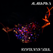 Revolver Soul by Alabama 3