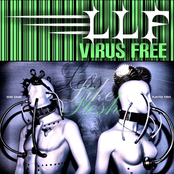 Virus Free