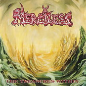 Shadows Of Fire by Merciless