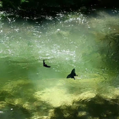 Lv.2 v n (feat. AssToro)