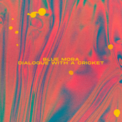 Dialogue With A Cricket