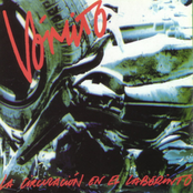 La circulación en el laberinto