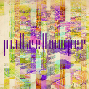 ṗhαses⑴