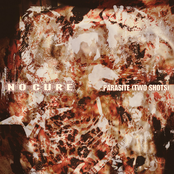 No Cure: Parasite (TWO SHOTS)