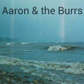 Aaron & the Burrs II
