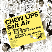 Salt Air (two Door Cinema Club Dui Remix) by Chew Lips