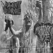 Misanthropic Noise / Violent Gorge