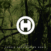 Jungle Book / Mirage (Raiden & Khanage Remix)