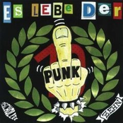 Es Lebe Der Punk Vol. 10