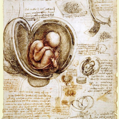 The Expanding Art of Sorrows