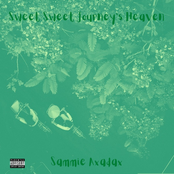 Sweet Sweet Journey's Heaven