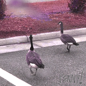 it's not a dream, it's a memory