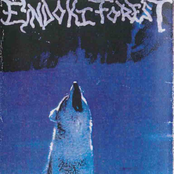 An Evil of Nordic Frost