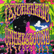 The Missing Lynx: Psychedelic Underground