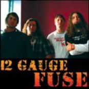 12 gauge fuse