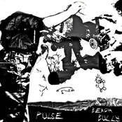 Pulse