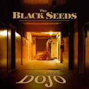 The Black Seeds: Into the Dojo