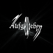 Sturmschrei