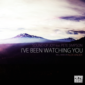 I've Been Watching You (feat. Pete Simpson)