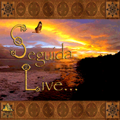 Seguida Live...