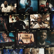 Loe Shimmy: The Z Files